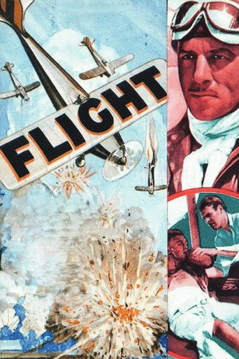 Póster de Flight