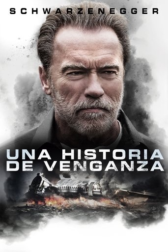 Póster de En busca de venganza