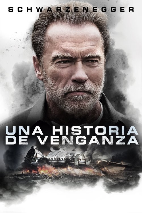 Póster de En busca de venganza