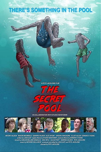 Póster de The Secret Pool