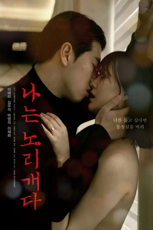 Póster de 나는 노리개다