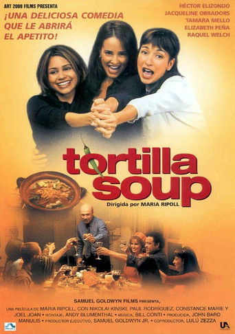 Póster de Sopa de tortilla