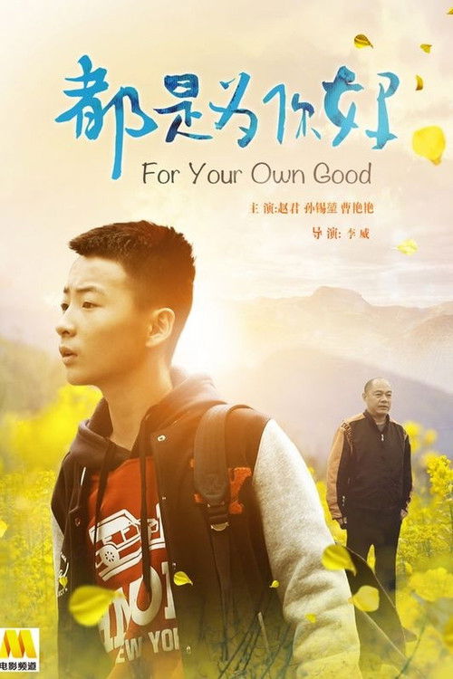Póster de 都是为你好