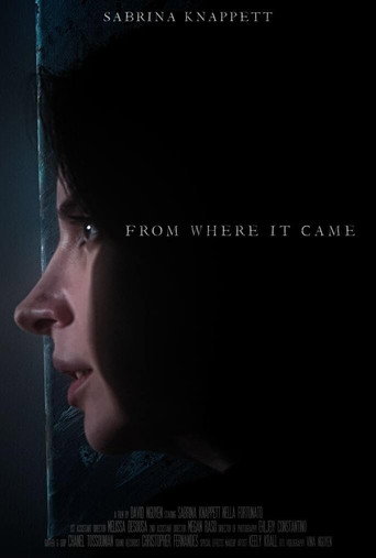 Póster de From Where It Came