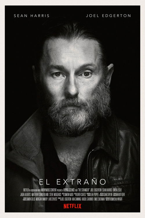 Póster de El extraño