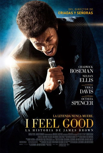 Póster de James Brown: El rey del soul