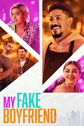 Póster de Mi novio falso