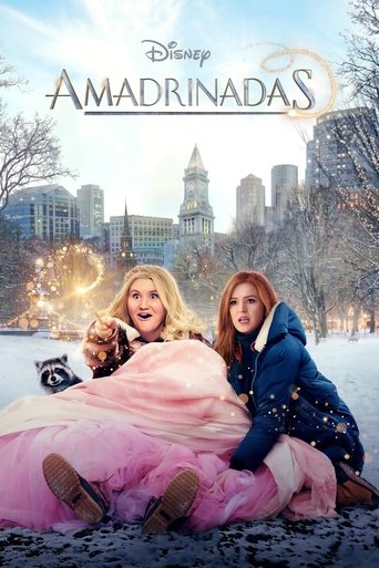 Póster de Amadrinhada