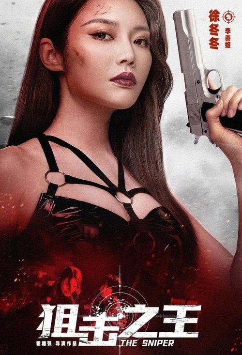 Póster de 狙击之王