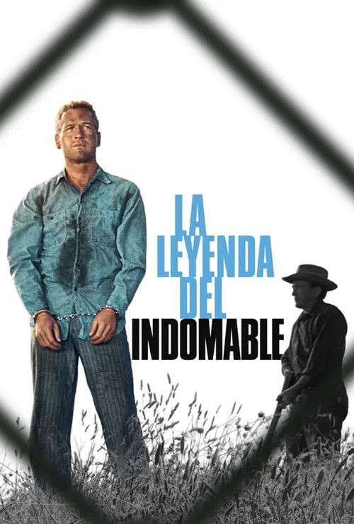 Póster de La leyenda del indomable
