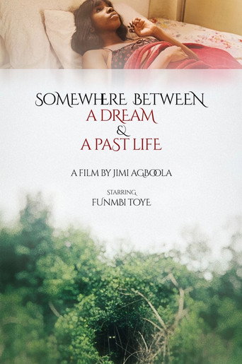 Póster de Somewhere Between a Dream and a Past Life