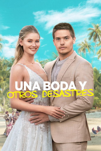 Póster de Una Boda y Otros Desastres