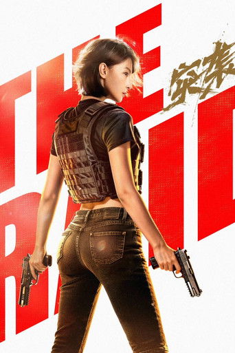Póster de The Raid
