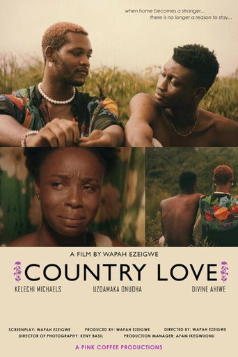 Póster de Country Love