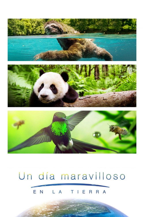 Póster de Earth: One Amazing Day