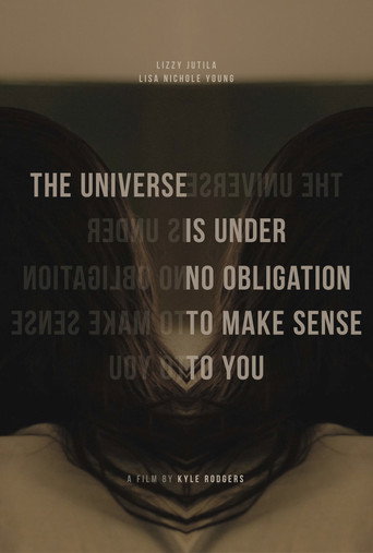 Póster de The Universe Is Under No Obligation To Make Sense To you