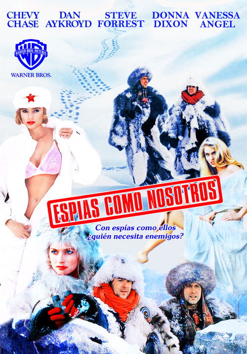 Póster de Contra espionaje