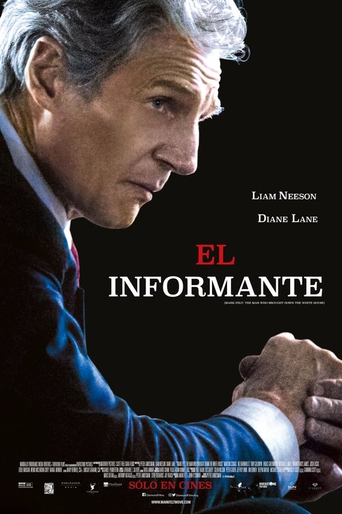 Póster de El Informante