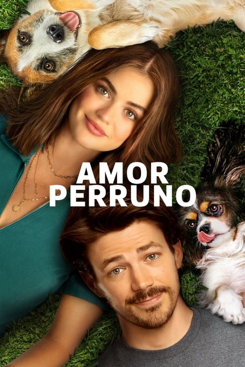 Póster de Amor De Cachorros