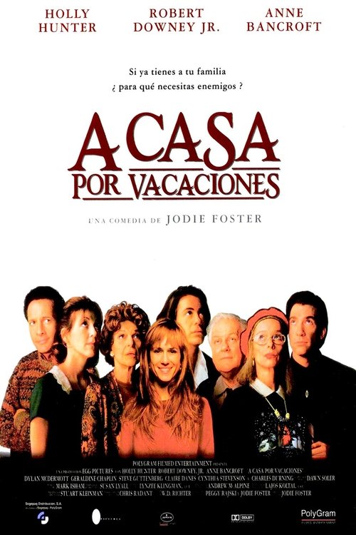 Póster de A casa en vacaciones