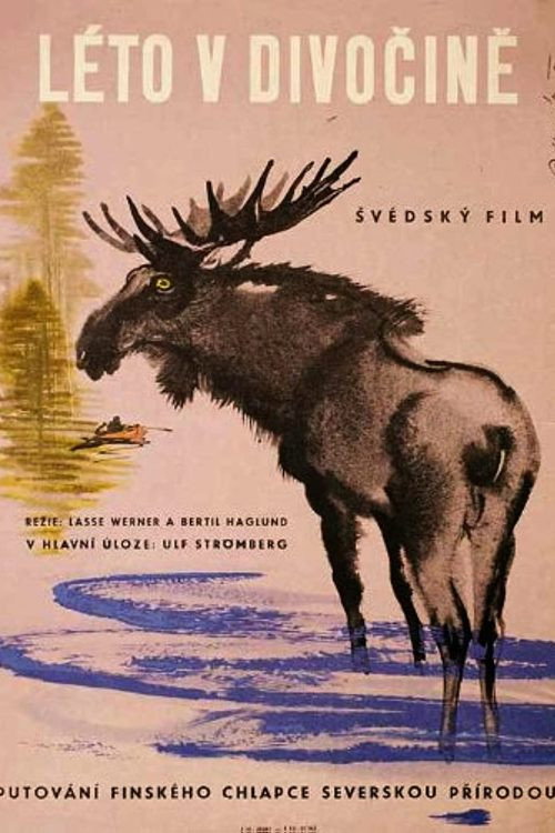 Póster de Vildmarkssommar