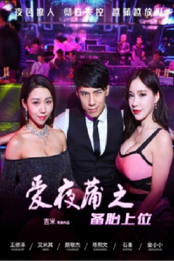 Póster de 愛夜蒲之備胎上位