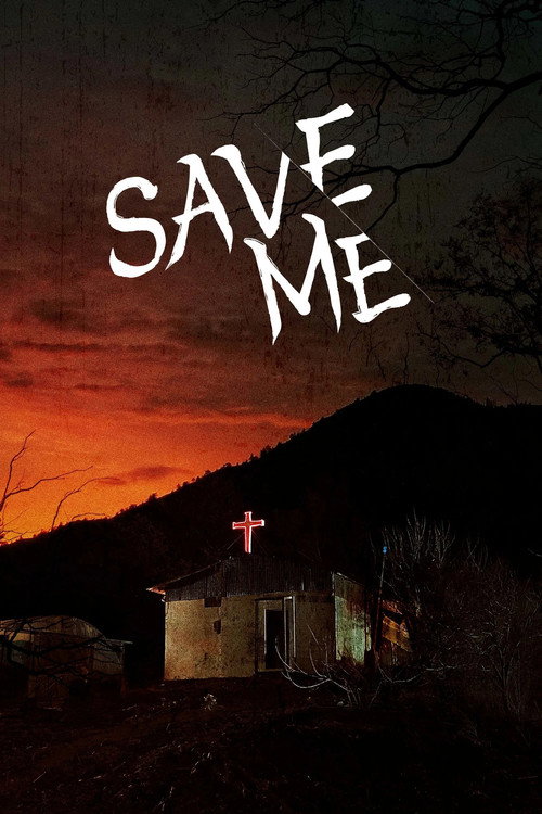 Póster de Save Me