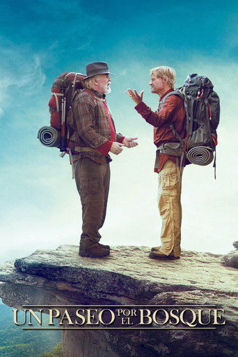 Póster de Grandes Amigos