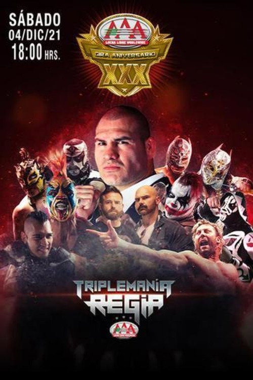 Póster de AAA TripleMania Regia II