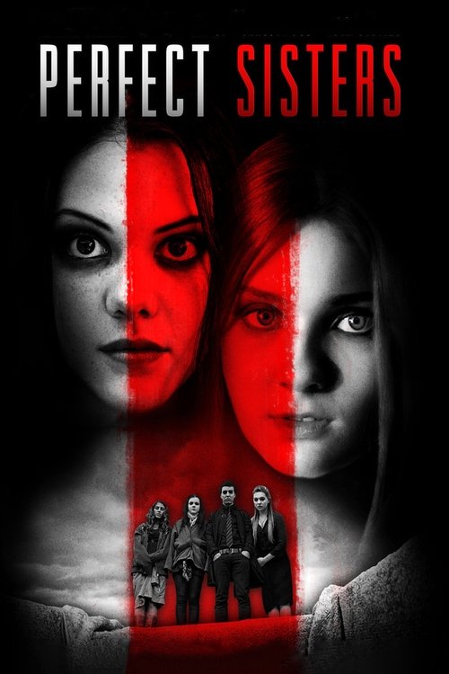 Póster de Perfect Sisters