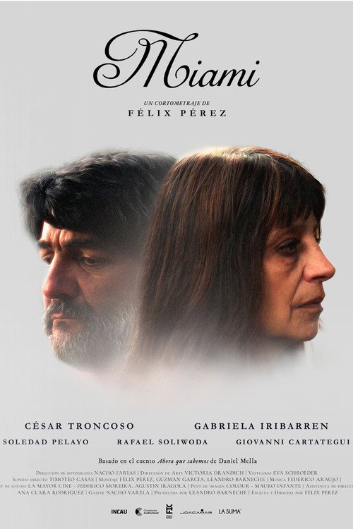 Póster de Miami