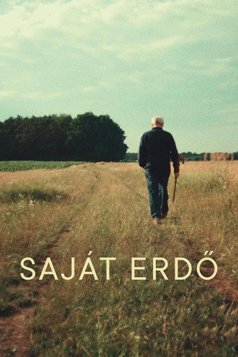 Póster de Saját erdő