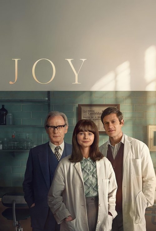 Póster de Joy