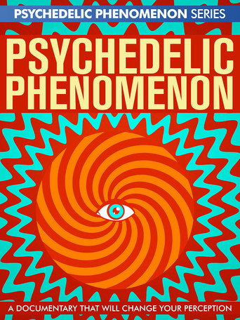 Póster de Psychedelic Experiences