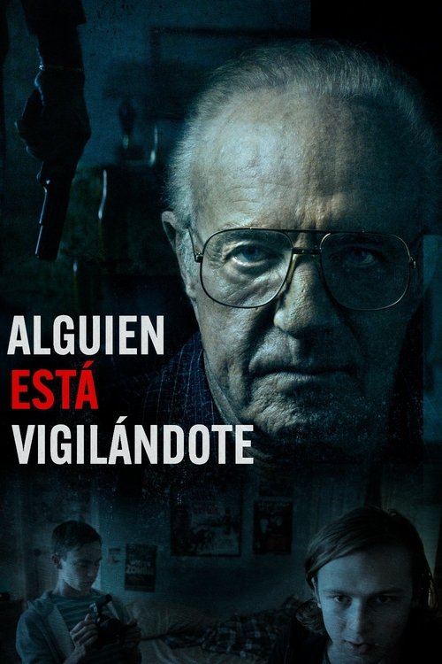 Póster de El buen vecino