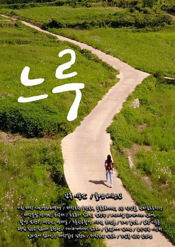 Póster de 느루