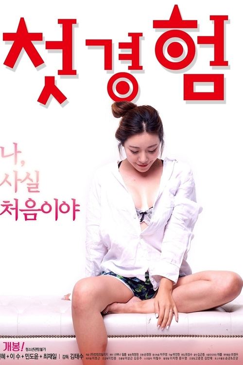 Póster de 첫경험