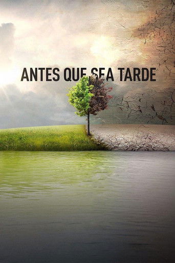 Póster de Antes que sea tarde
