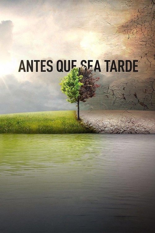 Póster de Antes que sea tarde