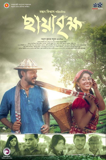 Póster de ছায়াবৃক্ষ