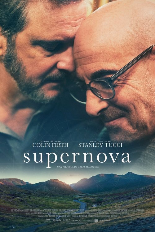 Póster de Un Amor Memorable