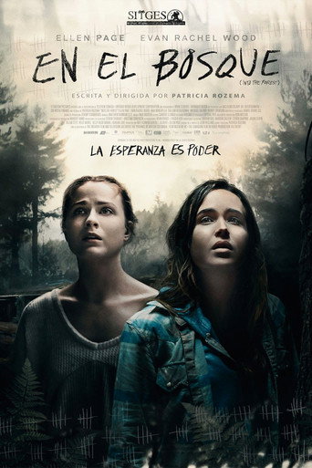 Póster de Into the Forest