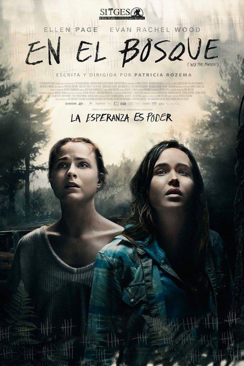 Póster de Into the Forest
