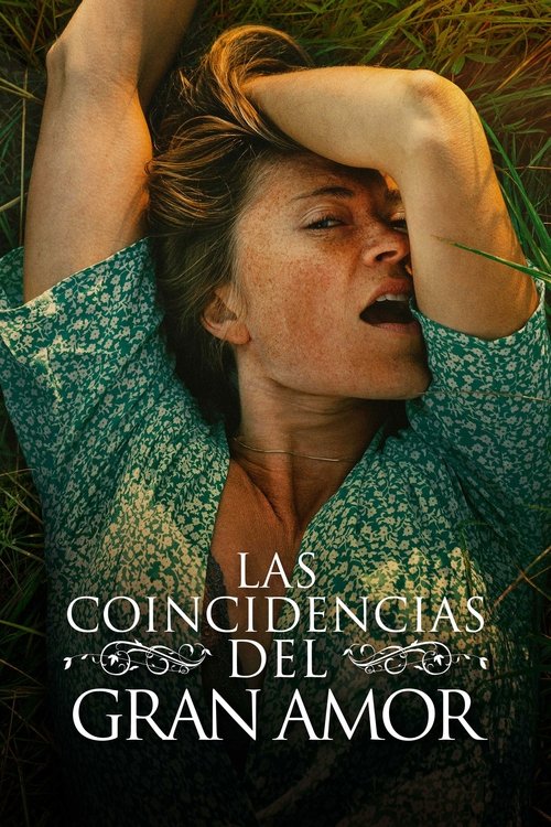 Póster de Las Coincidencias del Gran Amor