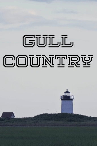 Póster de Gull Country
