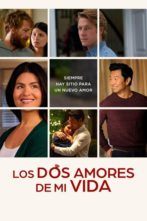 Póster de Los dos amores de mi vida