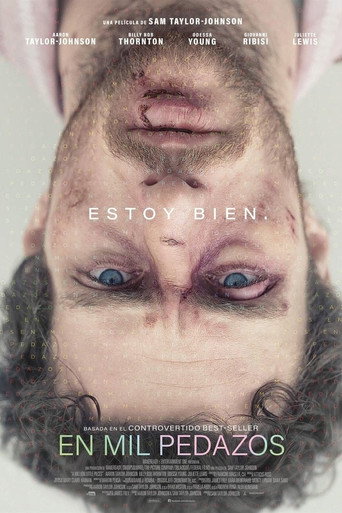 Póster de A Million Little Pieces