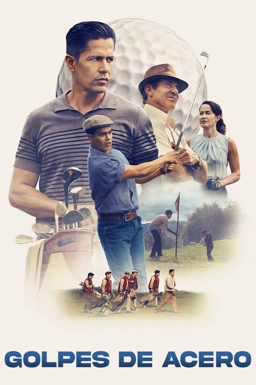 Póster de The Long Game