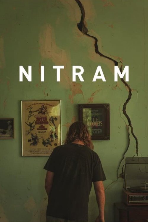 Póster de Nitram