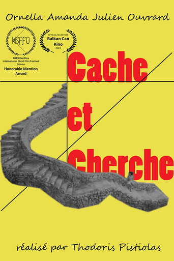 Póster de Cache et Cherche